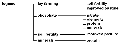 Concept map of a test on legumes